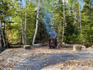 Le Nid - À travers les arbres - 1