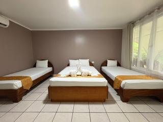 Arenal Poshpacker - 3