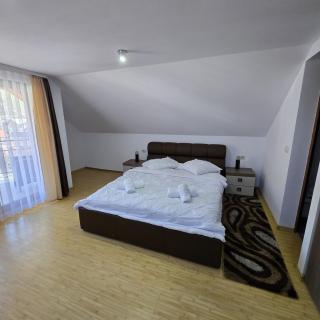 Casa cu Flori Moisei - 4