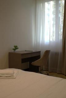 Domel Amiryan 12 - 1