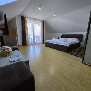 Casa cu Flori Moisei - 7