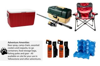 Stunning Cozy Cabin Close to Lake and Hiking Trails in Island Park, Idaho - 6