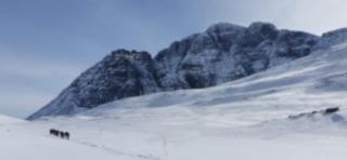 Magnhilds Luxury Apartment - 7