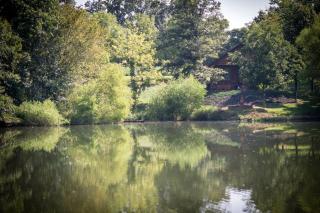 Wonderful Lakefront Cabin with Hot-tub in Carbondale, Illinois - 2