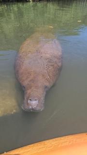 Casa Monã - Praia de Tatuamunha - Serviços Inclusos - 2