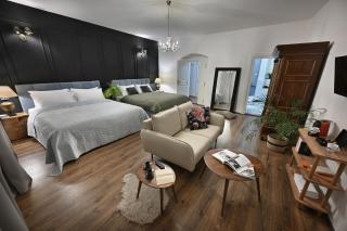 U Šuterů Boutique Hotel - 8