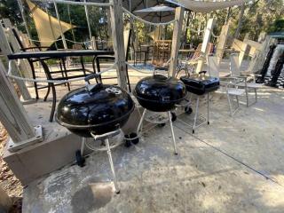 Embrace Nature in this Cottage Nestled Amidst Trees in Dunnellon, Florida - 3