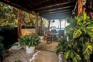 Treehouse Inn on the Beach - 3