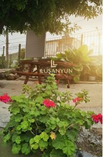 LUSANYUN 1 - 1