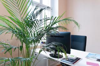 Haevn Altes Pfarrhauss Marienfliess - 3