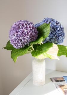 Arena - El Silencio Apartamentos - 9