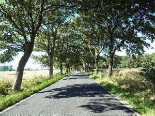 Ferienwohnung Boddenblick In Vieregge - 3