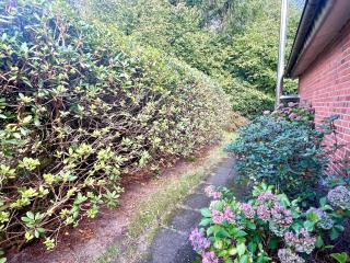 Ruhiges Ferienhaus direkt am Wald - 1