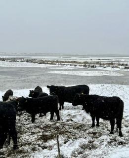 Architect-Designed Holiday Home By Korevlerne - 6