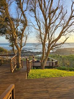 Shells on the Beach - 2