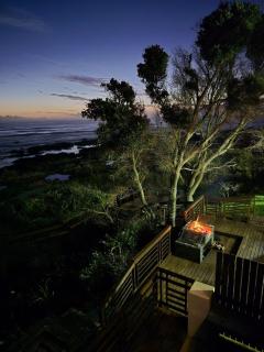 Shells on the Beach - 3