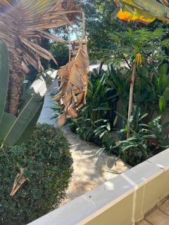 Charmosa casa 4 suítes no Jd Europa - 4