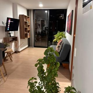 Hermoso apartamento loft cerca al segundo parque de laureles - 5