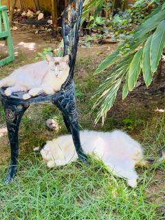 Pousada Águas de Tamandaré - 3