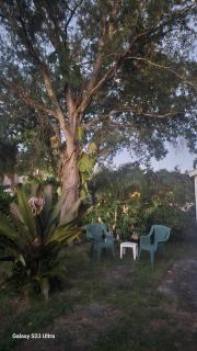 Newly remodeled Near Midtown S Tampa Westshore - 4