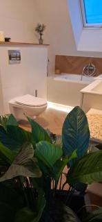 Willa Aleksandria - Konopiska - 8