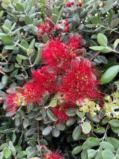 Villa das Hortas - modern villa at Silvercoast - Portugal - 8