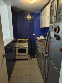 Fully equipped apartment in Providencia - 4