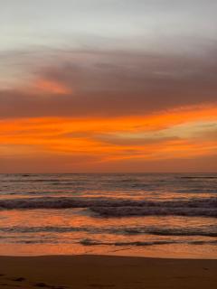 Winston ocean heaven - 7