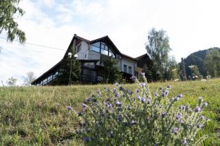 Pensiunea La Radu - 0