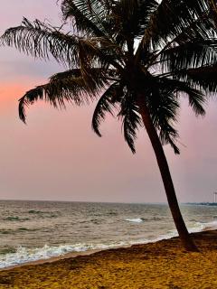 Winston ocean heaven - 2