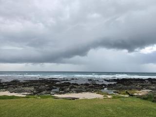 Shells on the Beach - 6