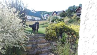 Penzion Kabourek - 2