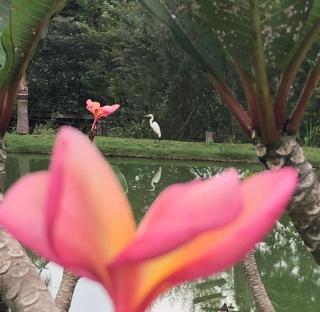 Casa Cipó Stilo - 2