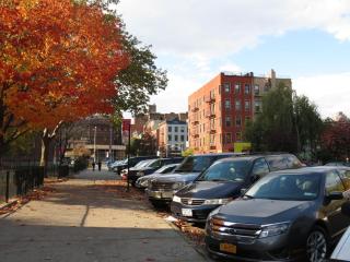 2BR APT near Mount Sinai & Metropolitan Hospitals - 8