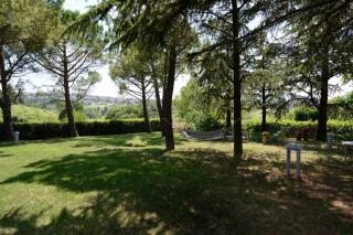 Villa Nunzia - Cupramontana - 6