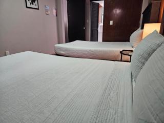 Singular Coyoacán Pepper My Love! - 2