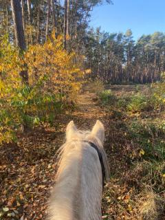 Gospodarstwo Agroturystyczne Cicho-Sza - 1