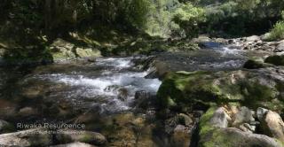 Decked Out with a View - 6