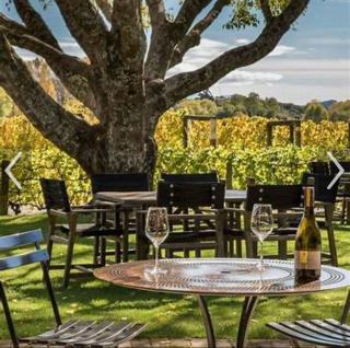 Decked Out with a View - 4