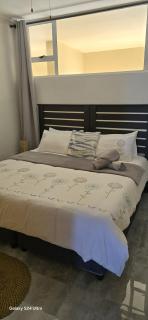 204 L'escalier Cabanas- Beach front paradise - 3