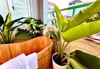 Apple house Homestay,4 rooms,Central,TrainStreet 6 min - 8