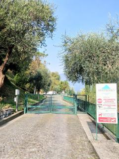 Heart of the lake - 5