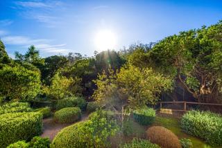 Brisa Viva Papudo - 3D Wifi y Playa - 7