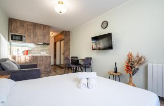 New Gudauri, Loft 1 Apartment - 9