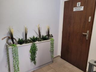 Malinowa 36 Apartamenty - 3