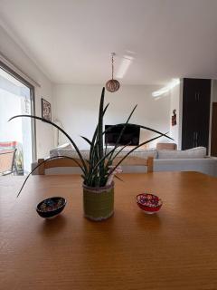 Central Nicosia Haven - 2