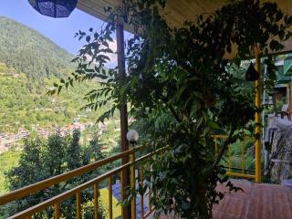 Wooden Cottage jibhi - 1