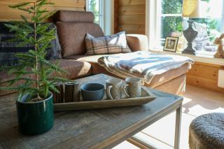 Cosy Cabin With Ski In Ski Out At Skei - Svingvoll - 2