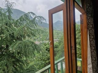 Wooden Cottage jibhi - 5