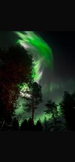 Aurora Luxury Riverside-Rovaniemi - 1
